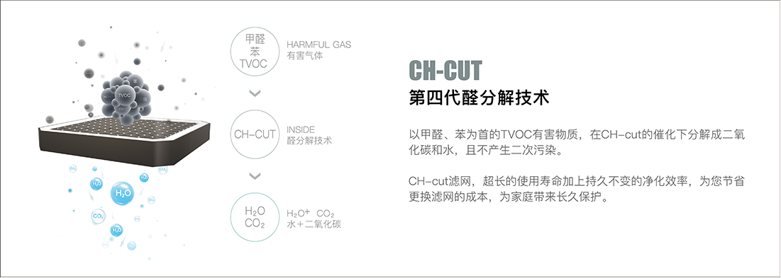 V1S凈化原理